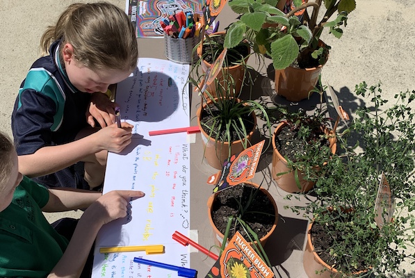 Two children, outdoors, with plants in front of them, completing a written task
