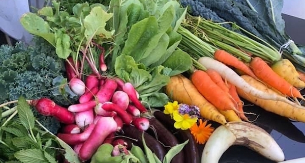 Fresh produce on a bench