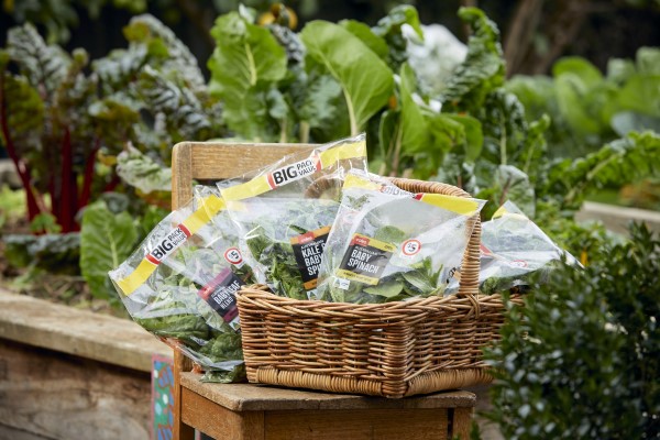 Bags of leafy green veggies in a cane basket on a wooden chair, in a garden.