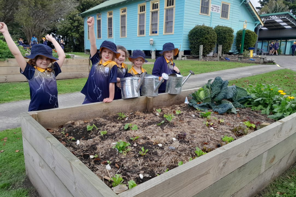 Planting seedlings