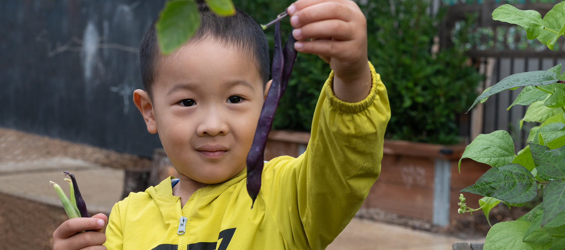 The Kitchen Garden Program for Early Childhood