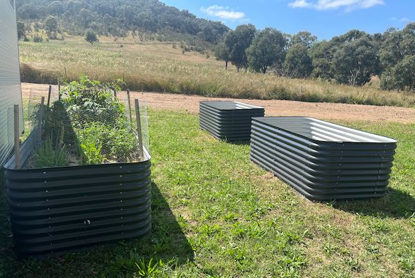 Wicking bed with mountains in background