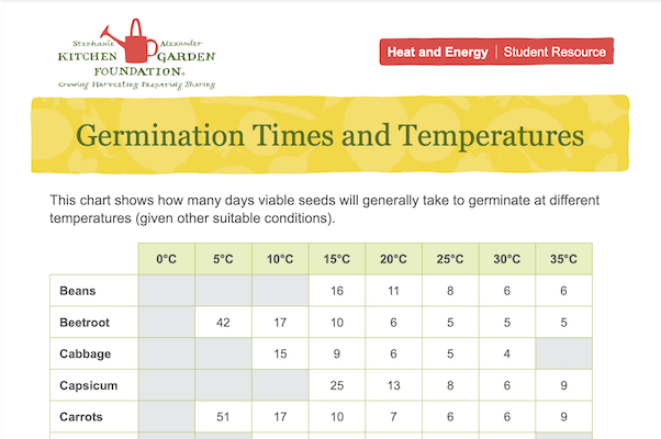 Detail from germination table