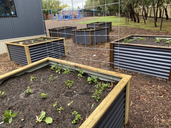 Garden beds Garden beds