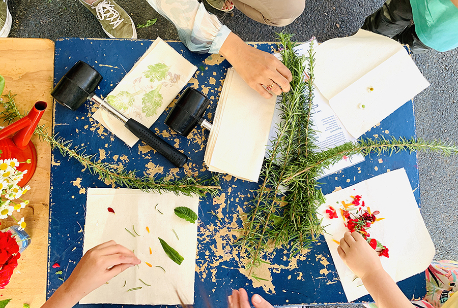 Festive kitchen garden gift ideas Kitchen Garden