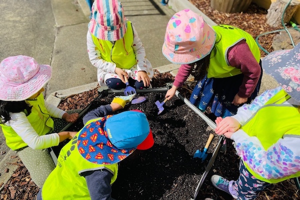 Children and educator looking at soil, birds-eye view