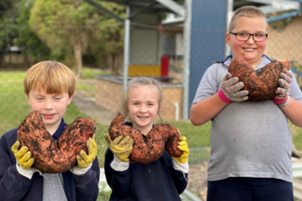 Kids holding sweet potatoes Kids holding sweet potatoes