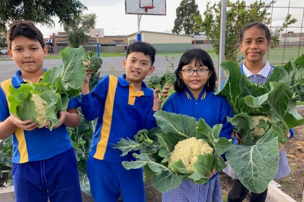 Four children holding cauliflower and broccoli