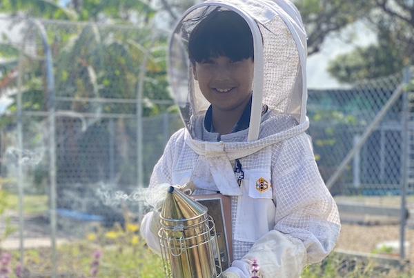 Boy in beekeeper suit