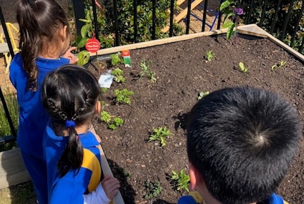 Children, from behind, looking at garden bed Children, from behind, looking at garden bed