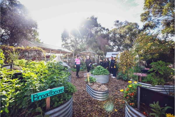 The garden of Kilnenny Primary