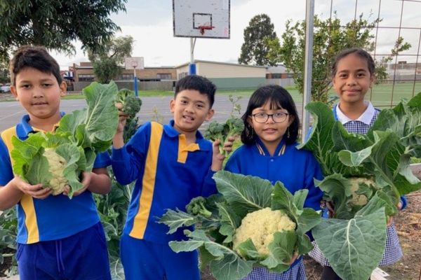 Students in the garden
