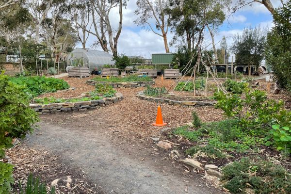 Nairne Primary School Garden