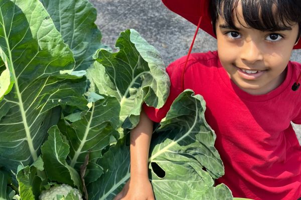 Preston North East Primary School