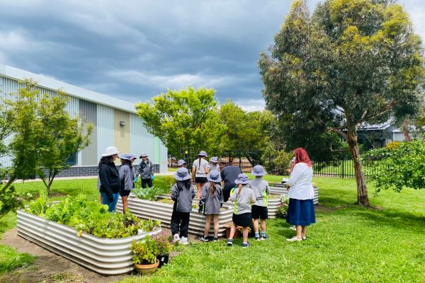 Ashley Park Primary School garden