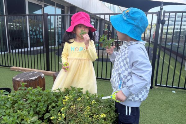 Children harvesting mint in the garden