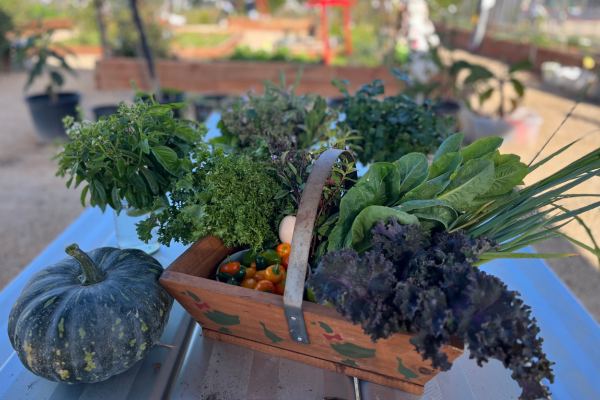 Winter veggies