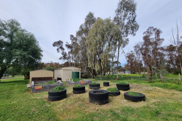 Raywood Primary School