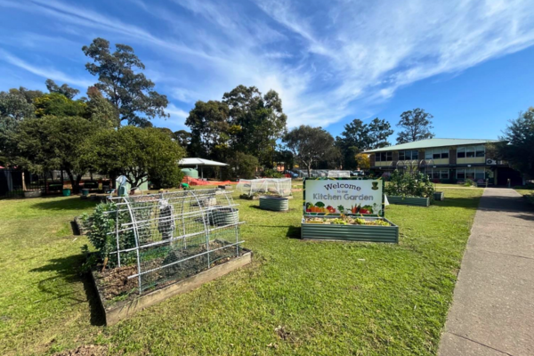 Lethbridge Park Public School garden