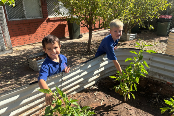 Memorial Oval Primary School, QLD