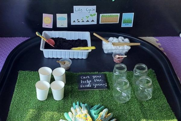 Planting investigation