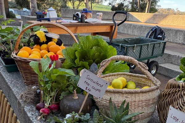 Winter Market at Nairne Primary