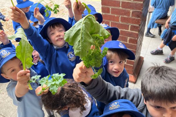 St Augustine's Primary School