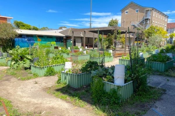 Bondi Public School wicking system