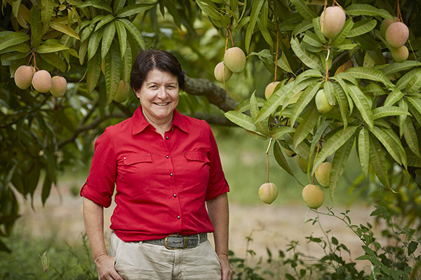 Coles mango grower