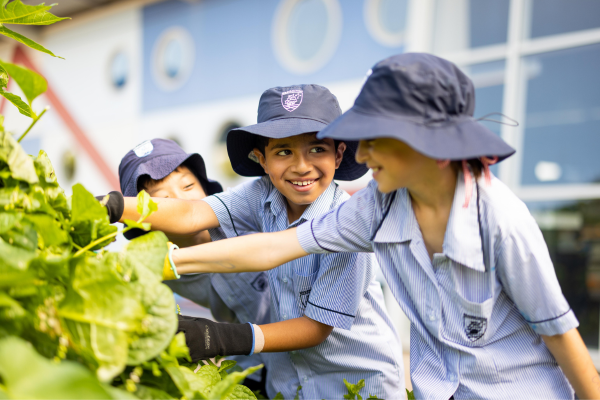 Students from The Essington School explore their garden