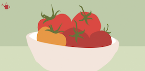 Illustration of bowl tomatoes