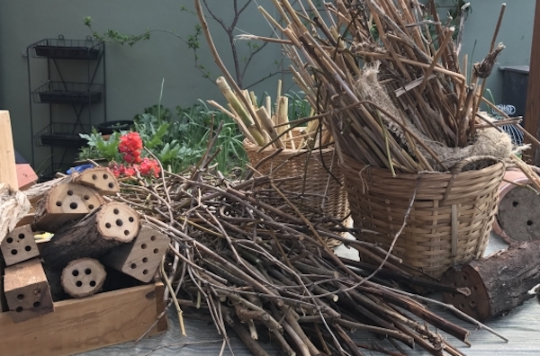 Materials gathered to build a native bee house 