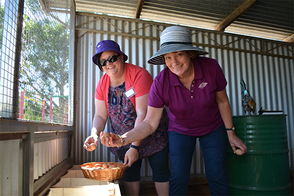 kitchen garden professional development