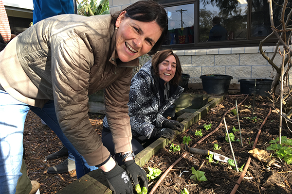 kitchen garden professional development